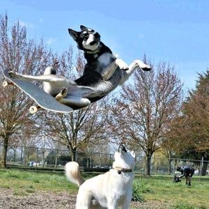 Meet your Posher, Teri